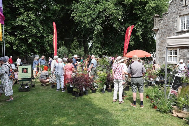Visitors enjoy the first day of Garden Show Ireland 2023.