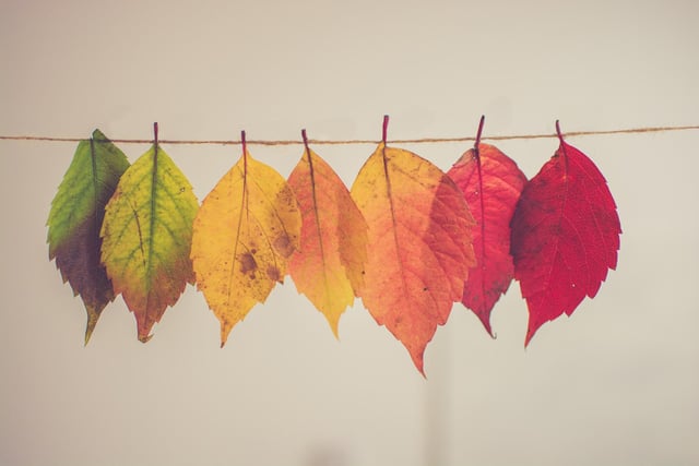 There's lots of places to go in Co Tyrone to make this autumn and winter memorable.