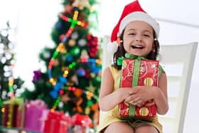 Mid and East Antrim Borough Council's preloved toy scheme runs until December 13.  Photo: Sujit Manna from Pixabay
