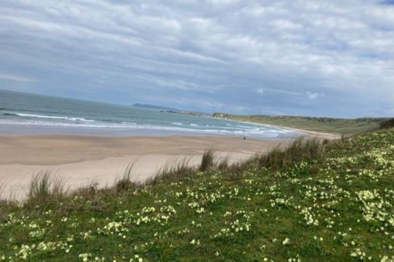 Spectacular White Park Bay beach on the north Antrim coast is a much-loved location for many, including Rosie Henry who shared this photo. The beautiful beach is backed by ancient sand dunes that provide a range of rich habitats for bird and animal life.