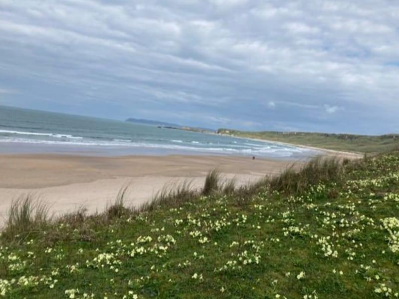 Spectacular White Park Bay beach on the north Antrim coast is a much-loved location for many, including Rosie Henry who shared this photo. The beautiful beach is backed by ancient sand dunes that provide a range of rich habitats for bird and animal life.