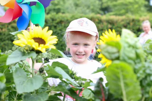 Checking out the sunflowers at Garden Show Ireland on Friday iis Juno Fusco.