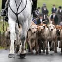 Hunting foxes with dogs is still legal in Northern Ireland - but the Alliance Party want it banned. Tom Elliott says that the Alliance-run DAERA should review animal welfare legislation to regulate the practice.