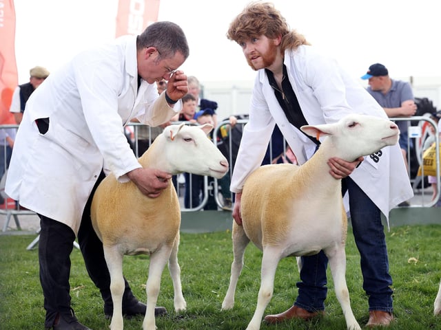 Sheep showmen at the Balmoral agricultural show.