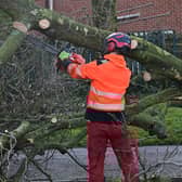 A major clear up is underway across Northern Ireland following Friday's storm damage.  Picture: Arthur Allison/Pacemaker Press.