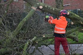 A major clear up is underway across Northern Ireland following Friday's storm damage.  Picture: Arthur Allison/Pacemaker Press.