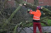 A major clear up is underway across Northern Ireland following Friday's storm damage.  Picture: Arthur Allison/Pacemaker Press.