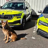 A planning application has been submitted to Antrim and Newtownabbey Borough Council for a new building for PSNI dog training at a facility in Antrim.  Picture: PSNI