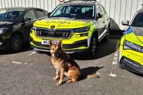 A planning application has been submitted to Antrim and Newtownabbey Borough Council for a new building for PSNI dog training at a facility in Antrim.  Picture: PSNI