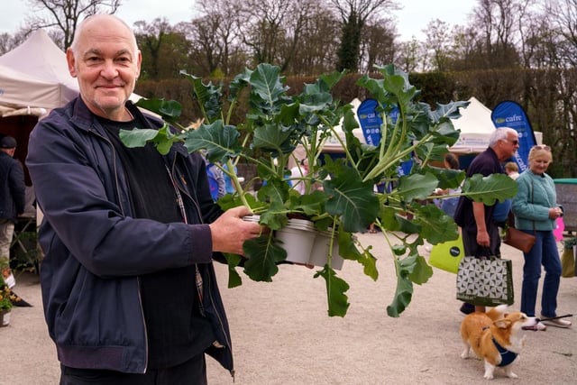 Local business owner Lawrence Neil from Kingfisher Glass Art at the Spring Plant Fair.