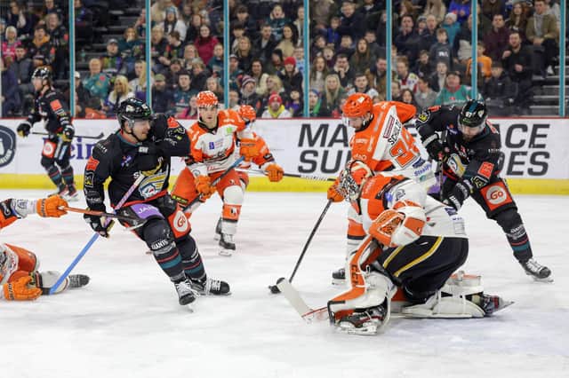 Belfast Giants’ Gabe Bast with Sheffield Steelers’ Matthew Greenfield during Saturday’s Elite Ice Hockey League game at the SSE Arena, Belfast.   Photo by William Cherry/Presseye