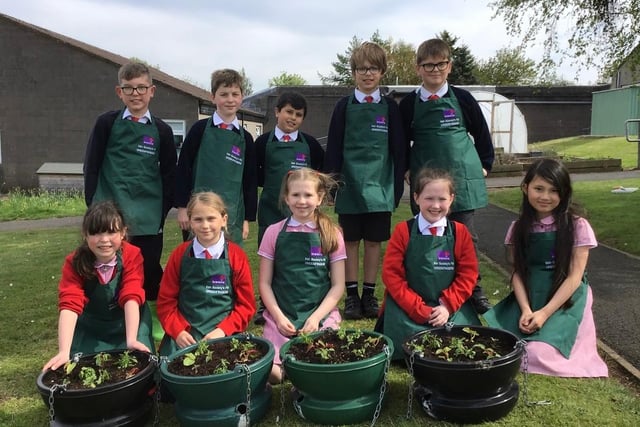 Pupils from Irish Society Primary School who were involved in Council’s Estates Team venture where local schools helped design and make up hanging baskets for Coleraine’s town centre. Credit CCGB Council