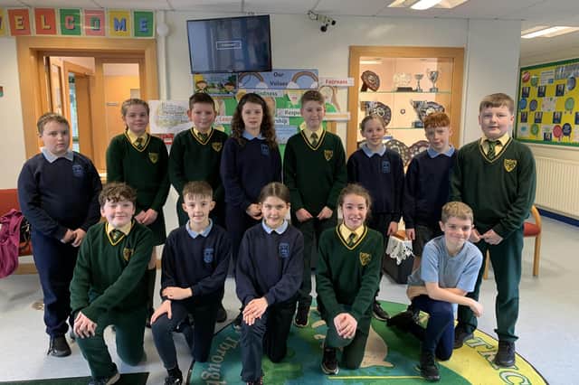 The P7 pupils from Iveagh and St. Patrick’s PS who participated in the project.