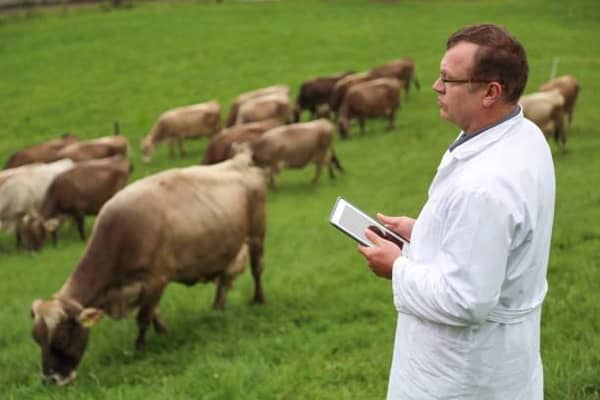 Veterinarian in a lab coat filling documents of his inspection of a farm on a digital tablet. Credit: Getty images