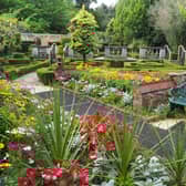 Gardeners wanting to create an idyllic space for Summer can find savings on tools