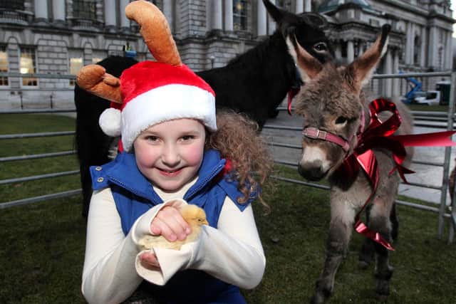Childrens Animal Farm accompanied by Santa at the Empower Gardening and Educational Centre in Portadown, Co Armagh on Saturday 3rd December from 9.30am to 5.00pm.
©Press Eye Ltd Northern Ireland -9th November 2012 Mandatory Credit - Picture by Darren Kidd /Presseye.com