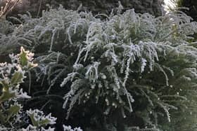 The province's cold snap is continuing into Friday, according to the Met Office. Photo: National World