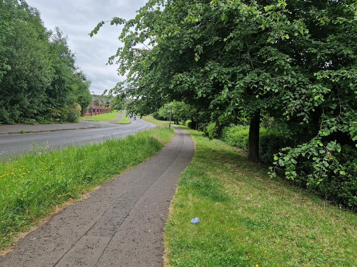 Pledge to assess overhanging trees as resident expresses health and safety concerns