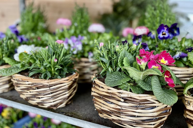 The team at Six Mile Valley Potatoes in Ballyclare will have a range of locally produced gifts available over the coming days ahead of Mother's Day. Present ideas include floral planters and cheese boards.
