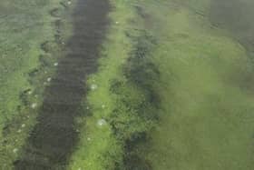 Blue-green algae is potentially toxic and has been detected in rivers and waters in Northern Ireland this summer. Credit NI World