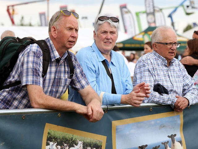 Watching the sheep judging.