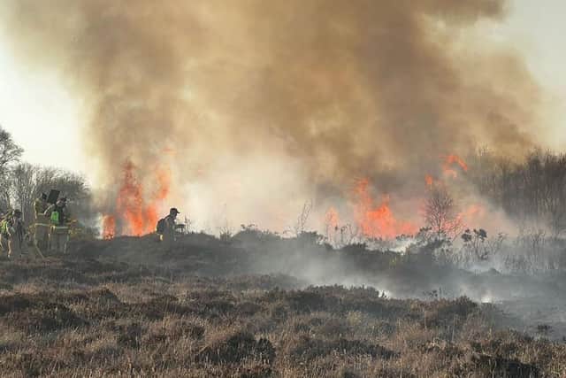 Firefighters have been tasked to hundreds of gorse fires across Northern Ireland in recent days. Picture: NIFRS