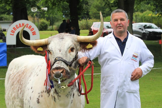 Arnold Pearson, Newtownards, with his English Longhorn cow. Picture: Julie Hazelton