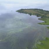 An aerial picture showing the blue-green algae in the water in the north west corner on the Lough. Credit: Lough Neagh Rescue