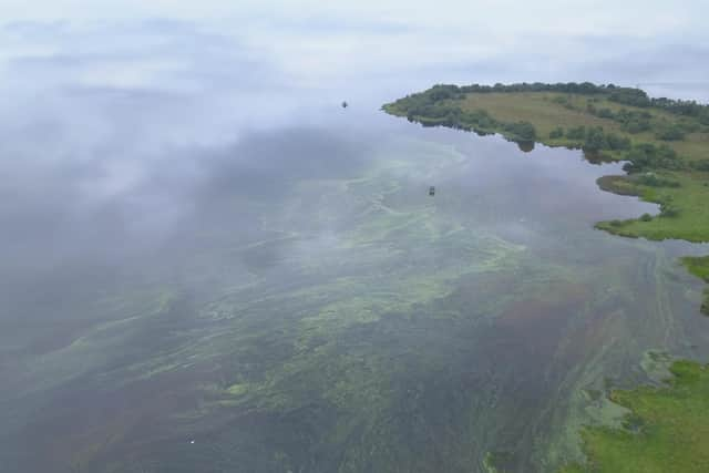 An aerial picture showing the blue-green algae in the water in the north west corner on the Lough. Credit: Lough Neagh Rescue