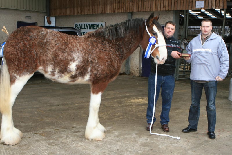 Graffin Hanna, best horse of society, with Craig Black from Bush Tavern Ballymoney at the Christmas show in Ballymena in 2008