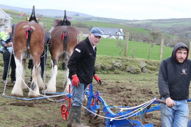 Pictured at the Ballycastle St Patrick's Day Ploughing Match