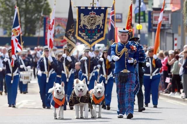 Sam Dickson and his marching Akitas leading  the Constable Anderson Memorial Flute Band during the Twelfth demonstration in Larne in 2021. Picture: Stephen Davison.