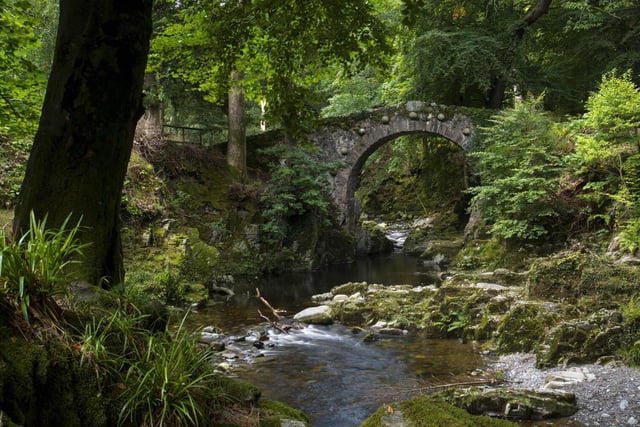 Tullymore Forest Park, nestled at the foot of the Mourne mountains in Newcastle has a backdrop of dense forest, providing the perfect fantasy-like scenario for the magical live action remake of How to Train Your Dragon.  In the film, viewers can spot Hiccup, played by Mason Thames, racing through the trees after the capture of Toothless the dragon.  The park's lush greenery and dramatic landscapes serve as a natural backdrop that brings the story to life.