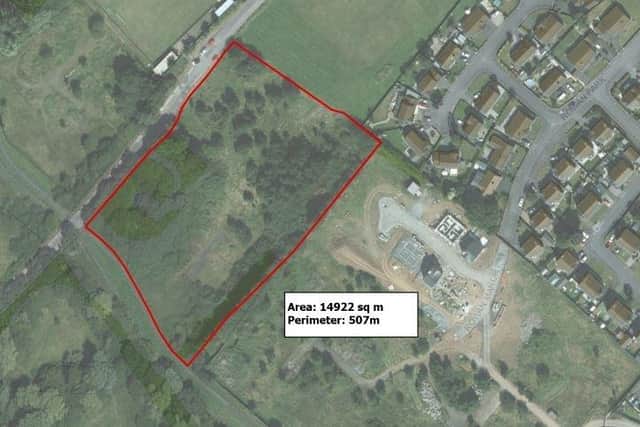 The proposed allotment site at Wells Quarry in Craigavon. Credit: ABC Council