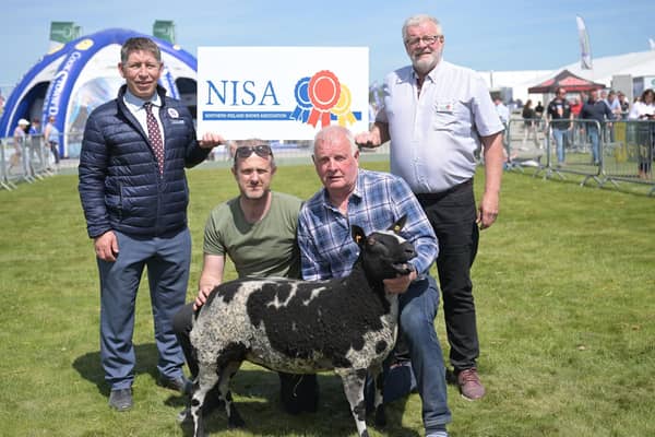 Rodney Brown, Head of Agribusiness at Danske Bank joined Brian Lockhart, NISA Chairman and sheep exhibitors to announce Danske Bank’s sponsorship of the 2025 NISA Sheep Championship.
