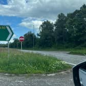Overgrown grass verges in the middle of the A1 dual carriageway, outside Banbridge. Photo: Glenn Barr