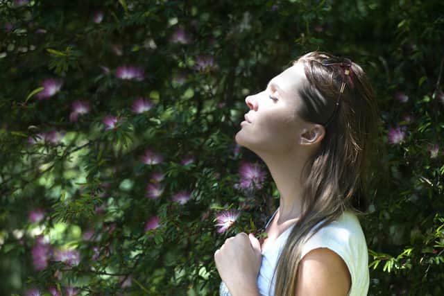A new report reveals that air quality has significantly improved year on year in the Armagh City, Banbridge and Craigavon Borough. Picture: pexels (stock image).