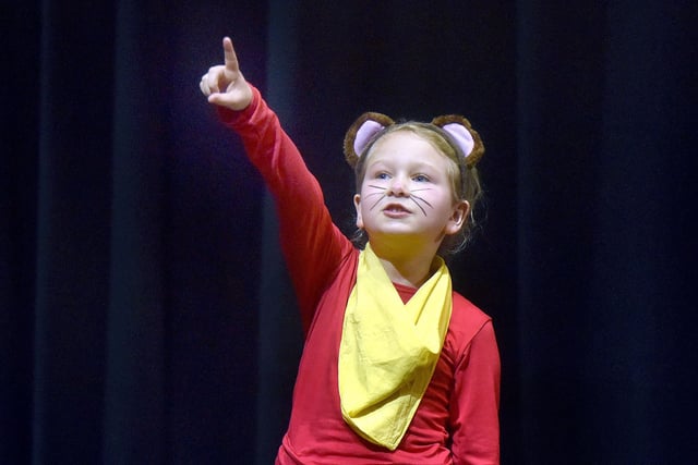 Anna Haffey who came second in the Musical Theatre Under 8 section at Portadown Speech Festival. PT09-209.