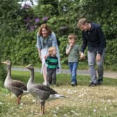 Hillsborough Castle and Gardens have announced their summer programming schedule, which includes The Peter Rabbit™ Adventure throughout the gardens, Music in the Gardens, Afternoon Tea and picnics on the lawn, and the return of the Summer Fair during the bank holiday weekend at the end of August. Pic credit: Brian Morrison