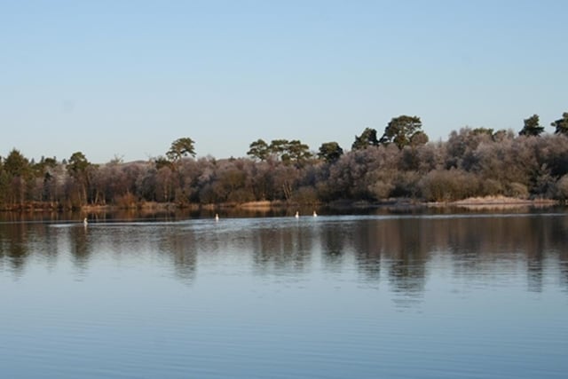 A few miles east of Omagh, walking around the shores of this lake makes for a refreshing way to unwind.
Soak in the flora and fauna of this unspoilt freshwater locale and enjoy the ever-shifting views of the lough through peering from one side of the shoreline to another.
You’re sure to see the indigenous brown trout surface for food and, if you’re lucky, catch the blue catch of a kingfisher or see visiting swans and wild geese.