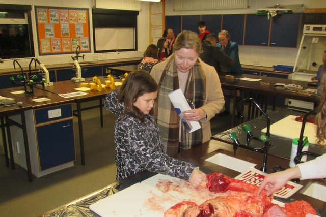 The dissection demonstration at North Coast Integrated College Open Night