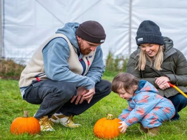 Pick your perfect pumpkin from thousands at their Streamvale Open Farm Pumpkin Patch at 38 Ballyhanwood Road, Befast, and enjoy a host of seasonal activities like The Maize Tractor Ride, Broomtastic Disco, Spooky Sisters’ Sweet Shop and more. There's also an adult-only scare night. Check Streamvale's website for more details and availability.