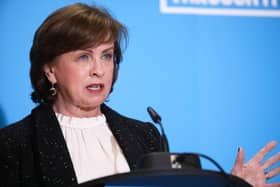 Upper Bann DUP MLA Diane Dodds - a former Stormont economy minister - has hit out at the NI Secretary over his description of her party's mutual enforcement policy as 'magical thinking'. Photo by Kelvin Boyes / Press Eye.