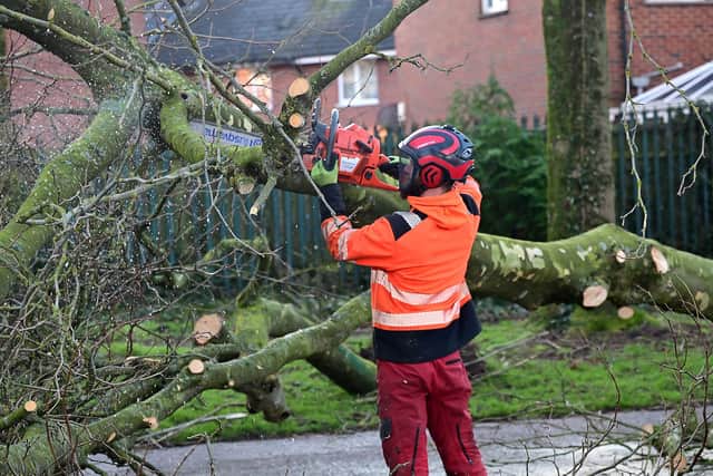 A major clean up is underway across Northern Ireland's road network after Storm Éowyn. Picture: Arthur Allison / Pacemaker Press.