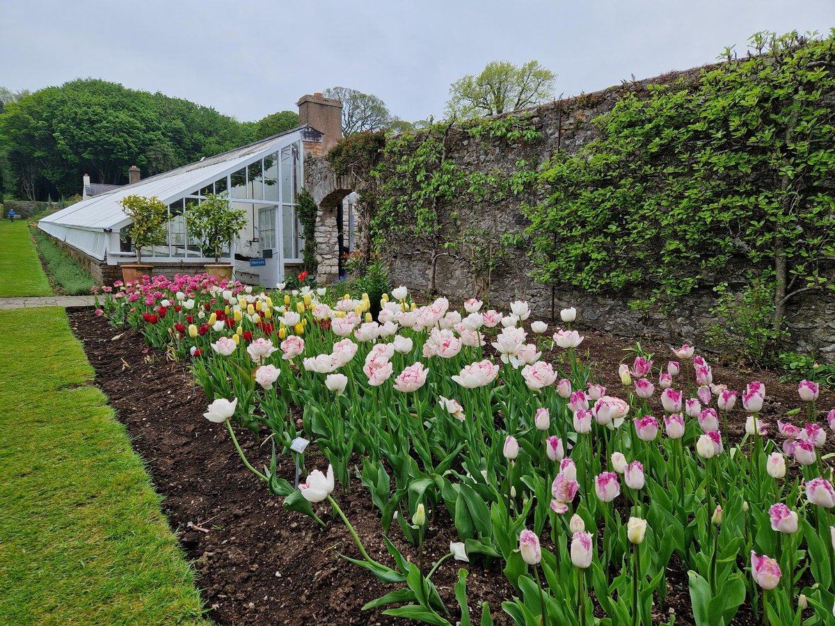 Watch: We went to the Tulip Festival at Glenarm Castle, here's what we thought