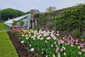 Beautiful blooms on display at Glenarm Castle. Picture: National World