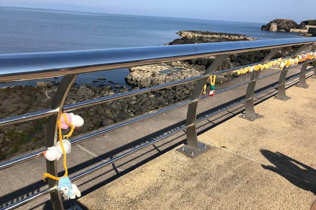 The Portstewart business community has been left shocked and saddened after a number of hand-made ducks and bunting were stolen and damaged last night (Monday)