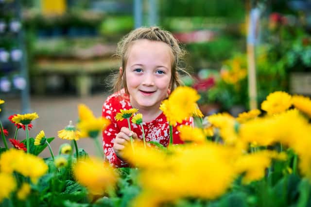 Dobbies, the UK’s leading garden centre, is hosting two free interactive workshops in its Lisburn store this February, to help residents get their garden in shape.