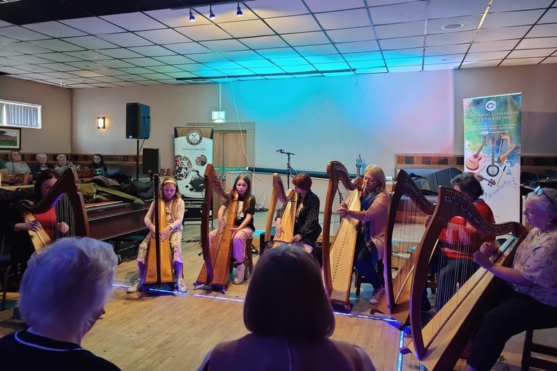 Seven harpists of all ages played beautiful tunes at Culture Night in St Peter's GAC in Lurgan, part of the two week long County Armagh hosted this year by Lurgan.