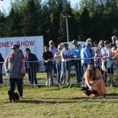Get your entries in for  Ballymoney Dog Show! Credit Ballymoney Show